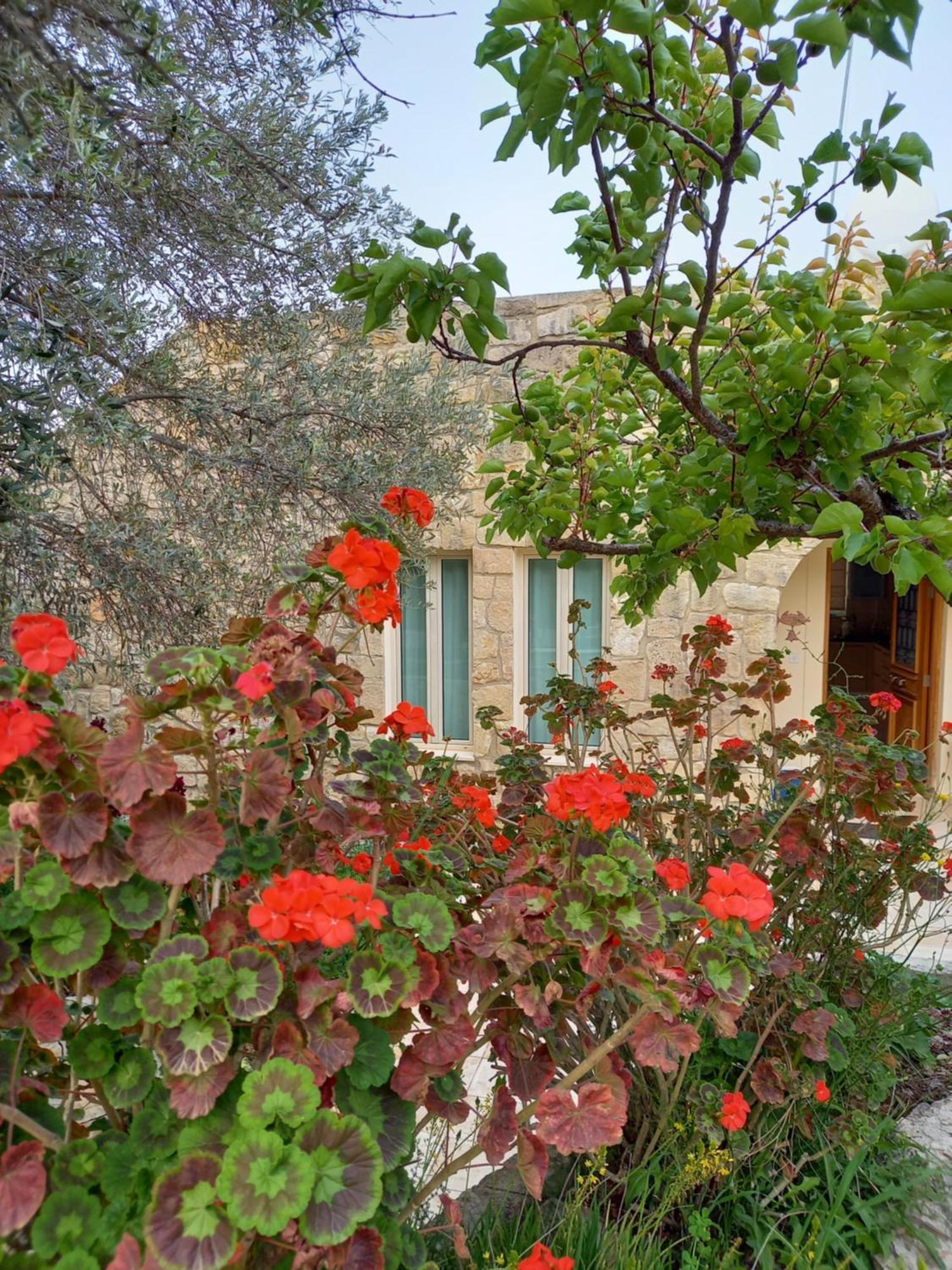 Villa Koumneni Pano Akourdalia Exterior foto