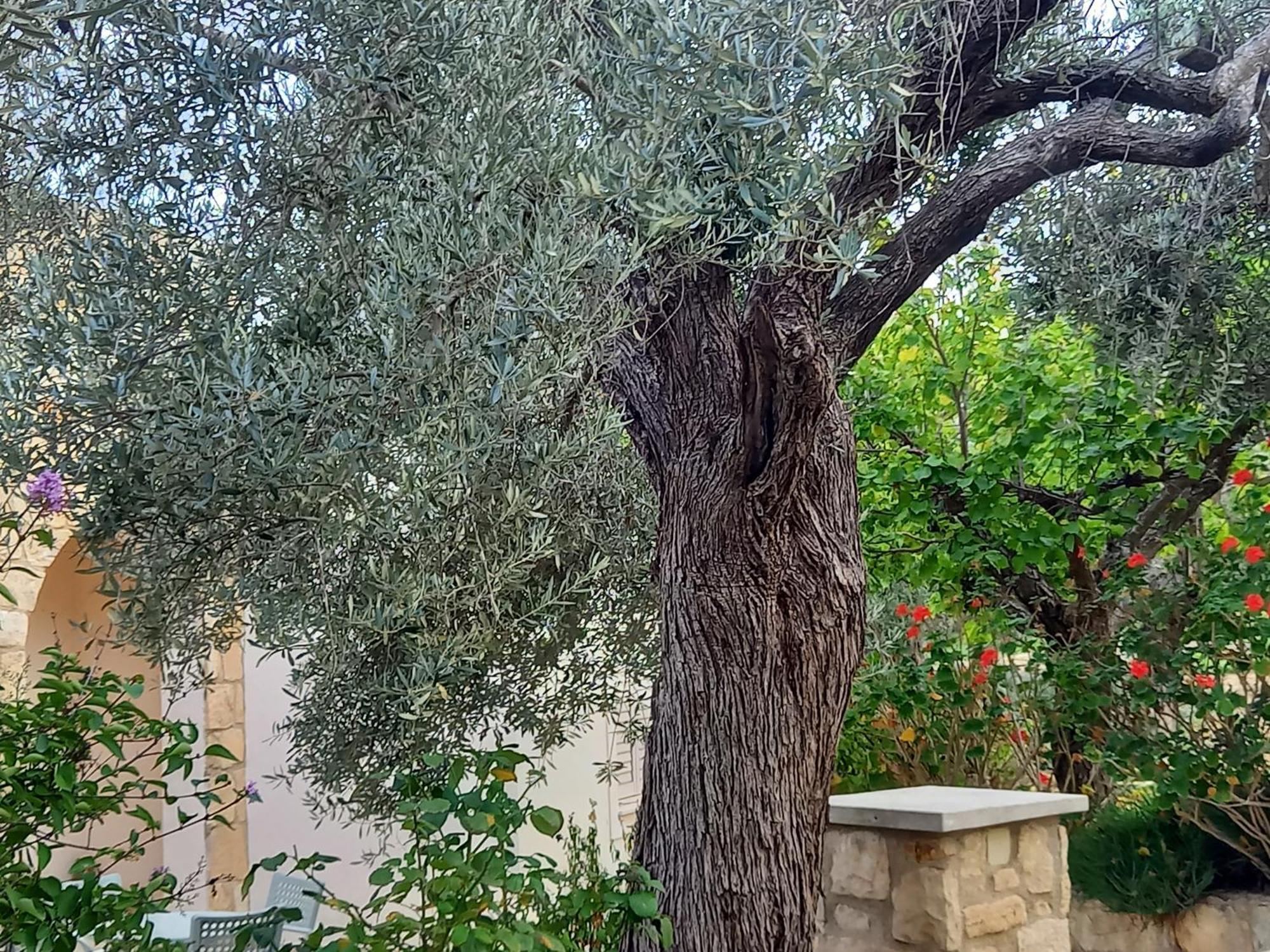 Villa Koumneni Pano Akourdalia Exterior foto